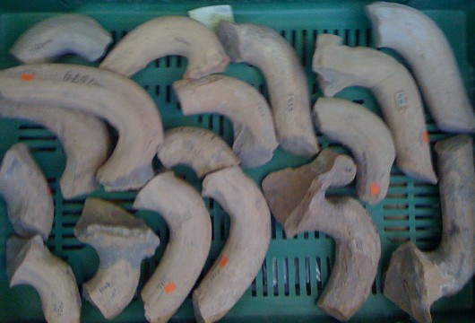 Avanches