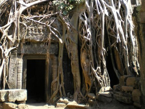 Ankor