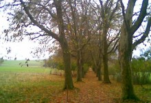 Gerzensee