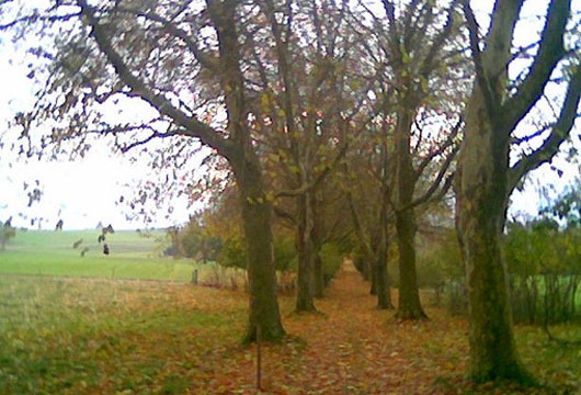 Gerzensee