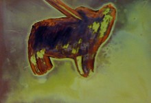 Kupferhund