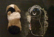 Wie man ein Meerschwein zeichnet