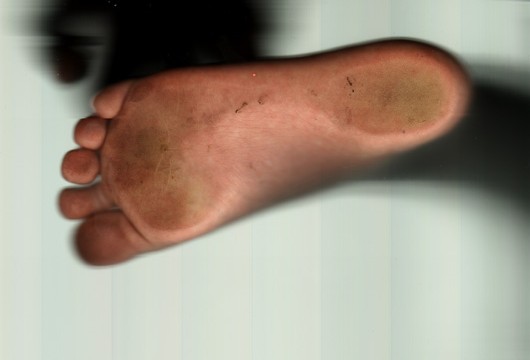 Neuer Scanner