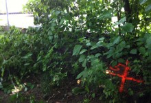 ende der wiese
