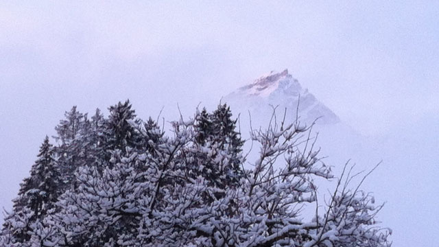 eines Morgens