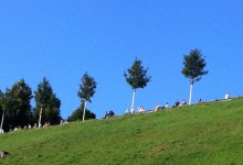 Rosengarten