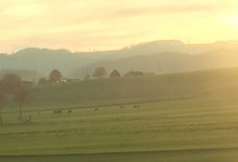 Wauwiler Moos