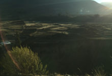 Colca