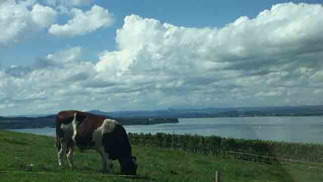 Idyll