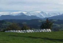 die Berge sind so nah