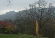 Aare