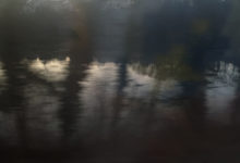 dem Rotsee entlang