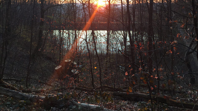 Abendspaziergang