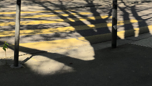 Im Schatten des Grossen