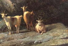 Alexandre Calame