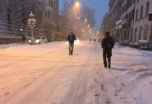 Ohne Tram und Bus