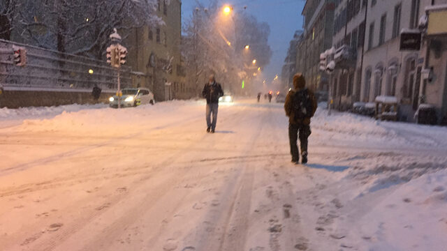 Ohne Tram und Bus