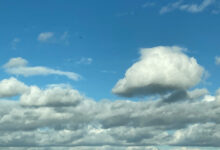 Das Dach …