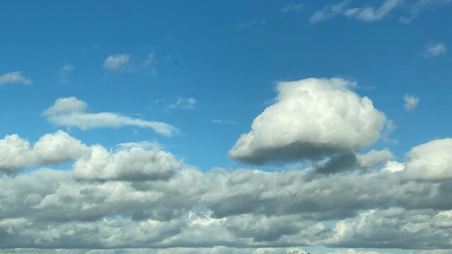Das Dach …