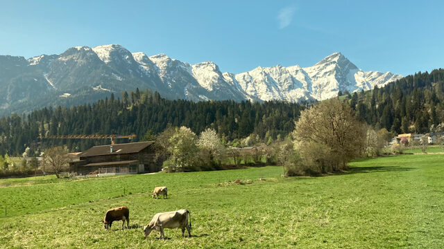 Domleschg