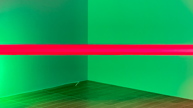 Dan Flavin, cropped