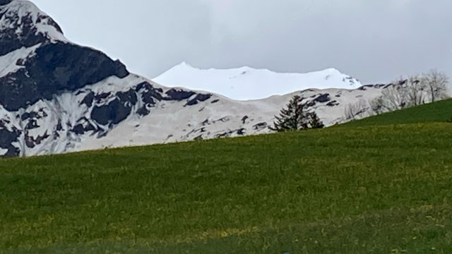 Bruschghorn