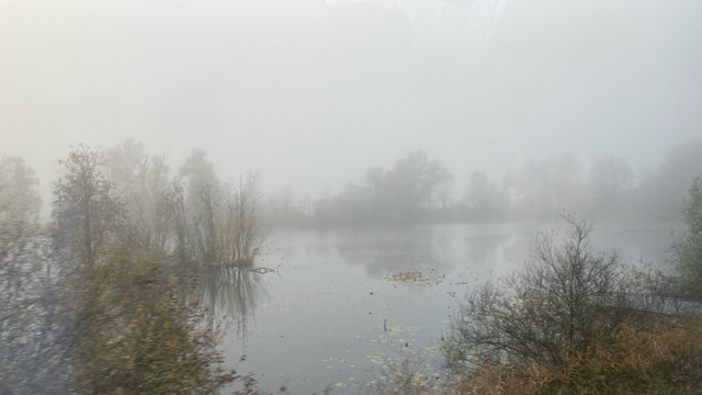 der See