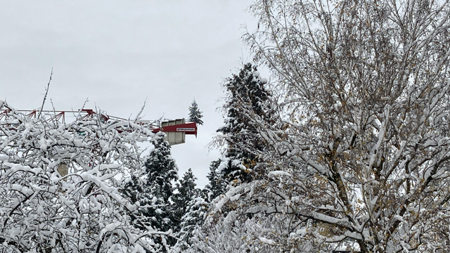 es weihnachtet sehr