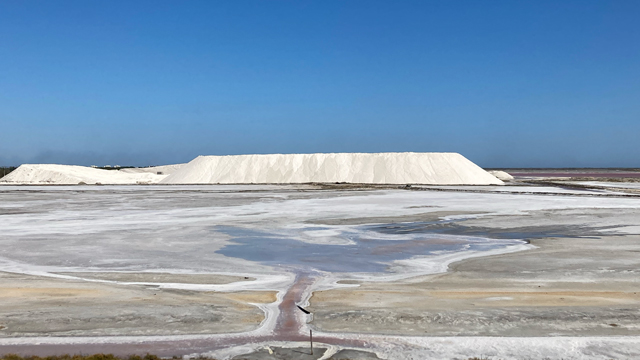 Salin de Giraud